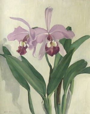 Artwork Title: Orchids