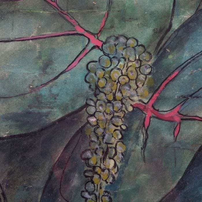 Artwork Title: Sea Grape Tree