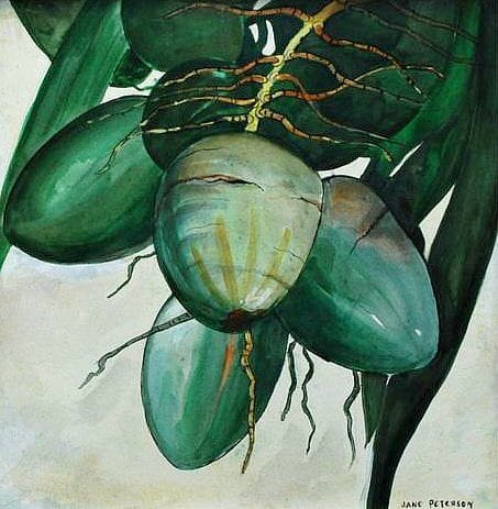 Artwork Title: Coconuts