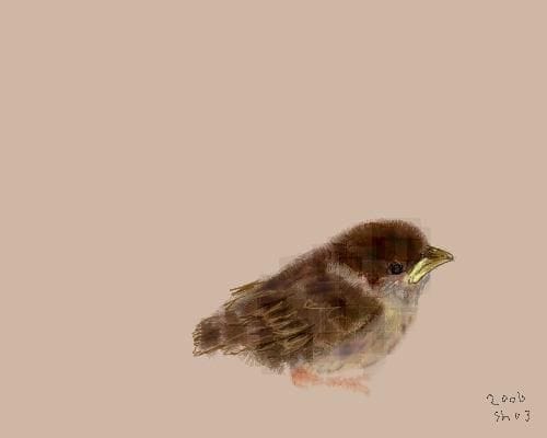 Artwork Title: undefined