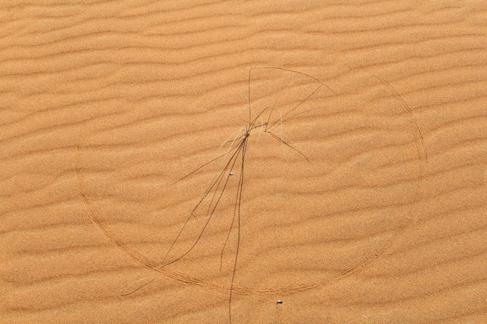 Artwork Title: Radius Work