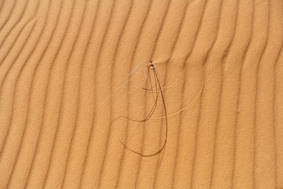 Artwork Title: Radius Work