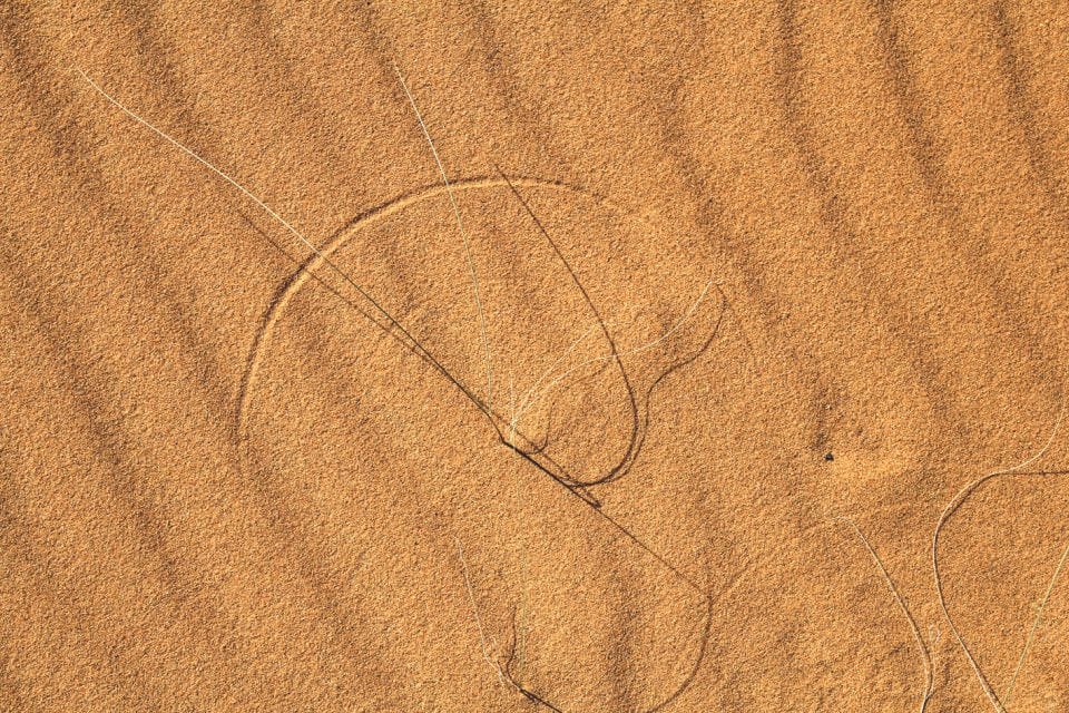 Artwork Title: Radius Work