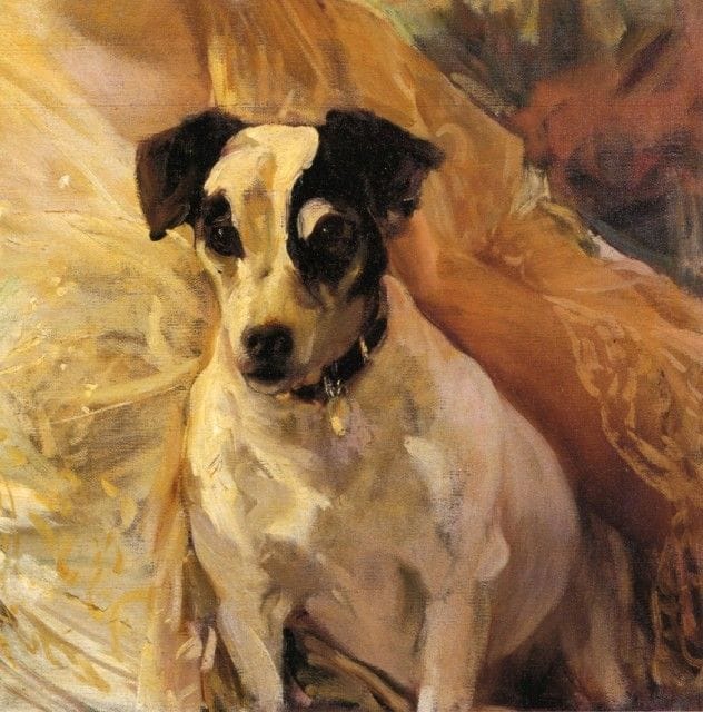 Artwork Title: Portrait of a Jack Russell