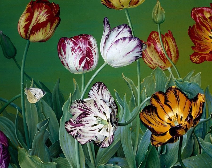 Artwork Title: English Florist Tulips