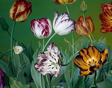Artwork Title: English Florist Tulips