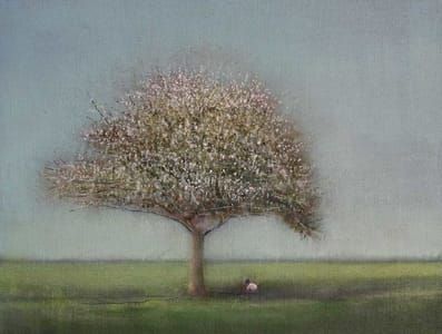 Artwork Title: Lamb under Hawthorne Blossom