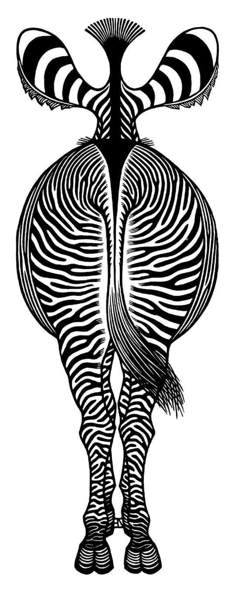 Artwork Title: Zebra II