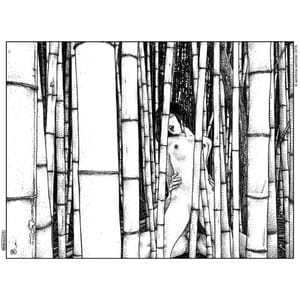Artwork Title: La Cage De Bambous