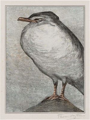 Artwork Title: Zilvermeeuw (Herring Gull) (1908 Calendar: March)