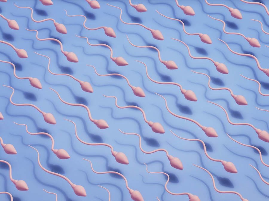 Artwork Title: Repetition - Sperm