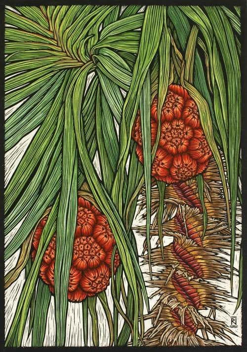 Artwork Title: Kakadu Pandanus