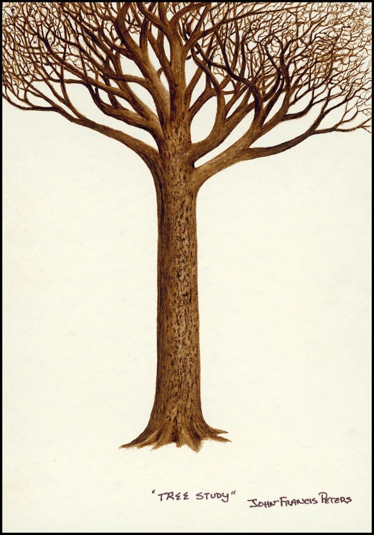 Artwork Title: Tree Study