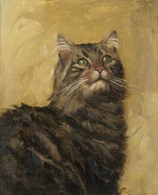 Artwork Title: View Study of a Cat for 