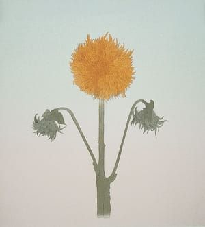Artwork Title: Sunflower