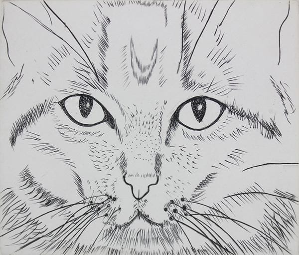 Artwork Title: Cat Face, c