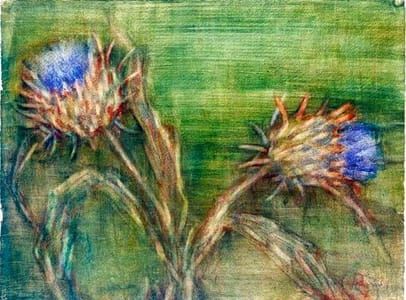 Artwork Title: Artichoke Flowers