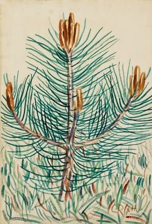 Artwork Title: Young Pine