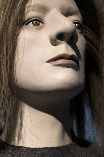 Artwork Title: Coco's Consequence