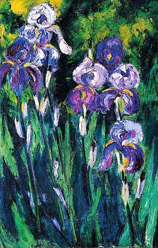Artwork Title: Irises-In-Evening-Shadows