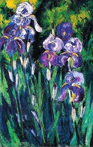 Artwork Title: Irises-In-Evening-Shadows