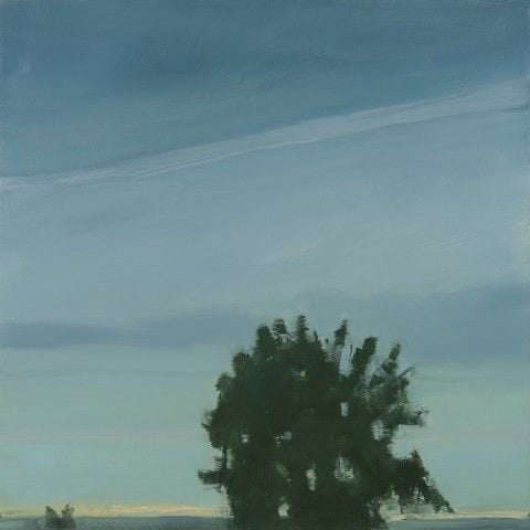 Artwork Title: Tree Silhouette Sky