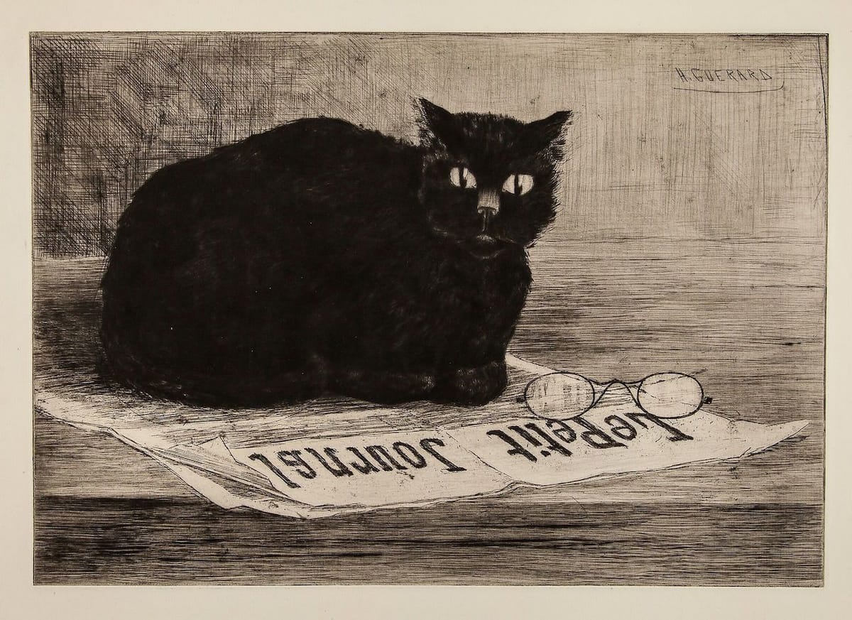 Artwork Title: Chat noir sur un Journal