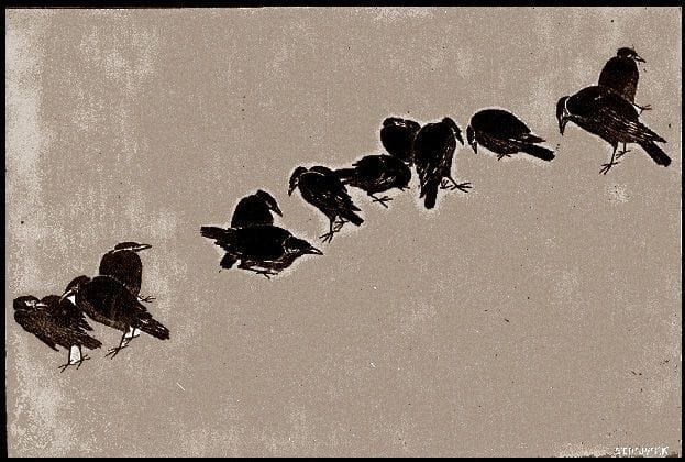 Artwork Title: Crows