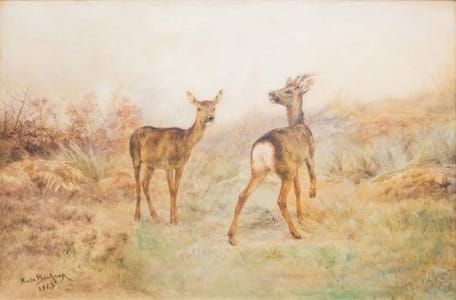 Artwork Title: Two Deer