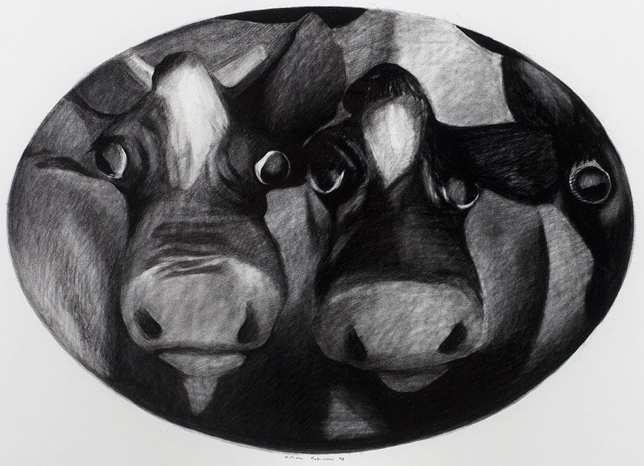 Artwork Title: Cow Portrait (Oval format) 1979