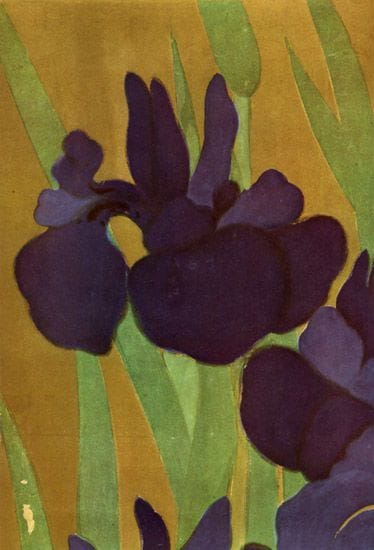 Artwork Title: Irises