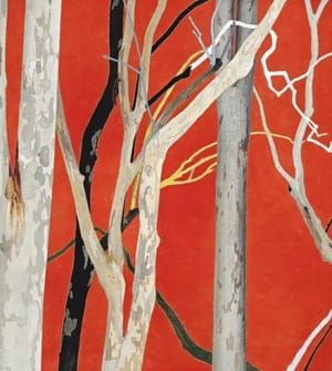 Artwork Title: Spotted Eucalypts, Orange