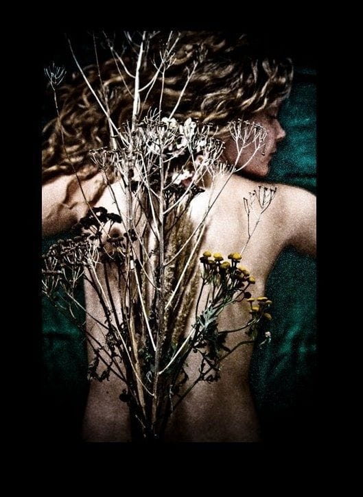 Artwork Title: undefined