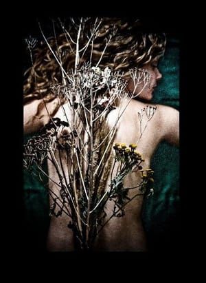 Artwork Title: Untitled