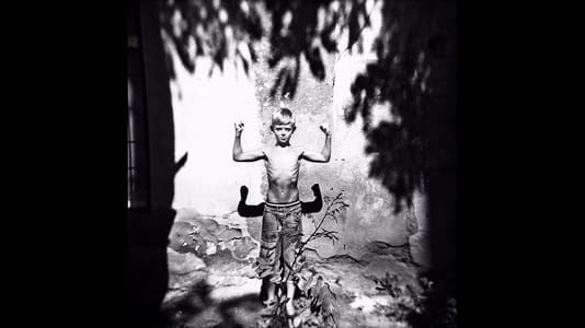Artwork Title: Untitled