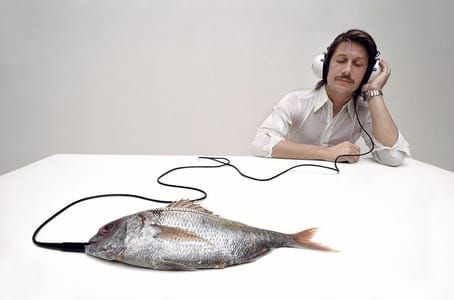 Artwork Title: Jacques Dutronc