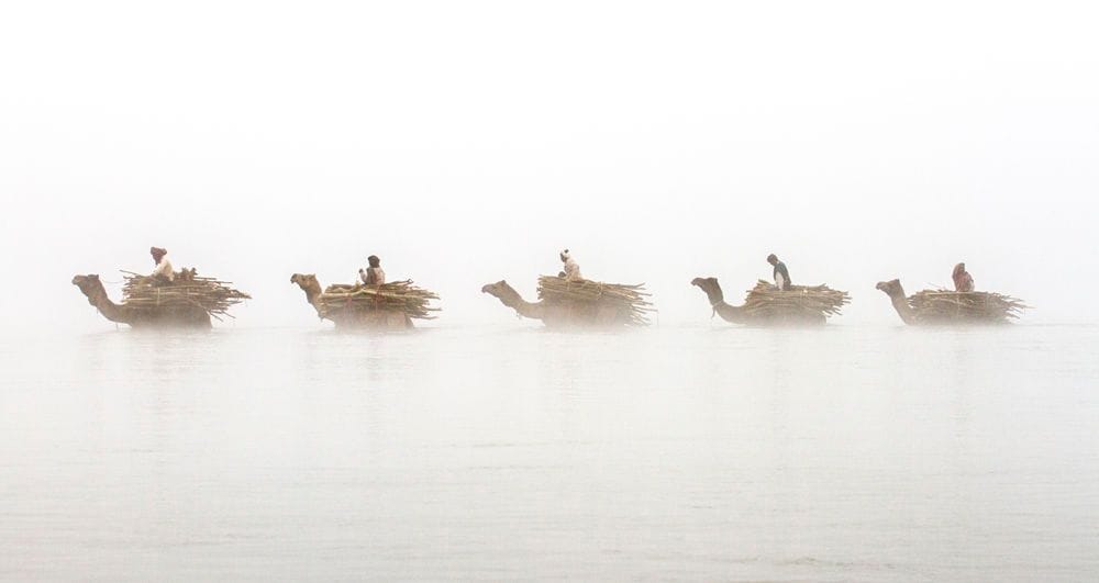 Artwork Title: Chambal River, India