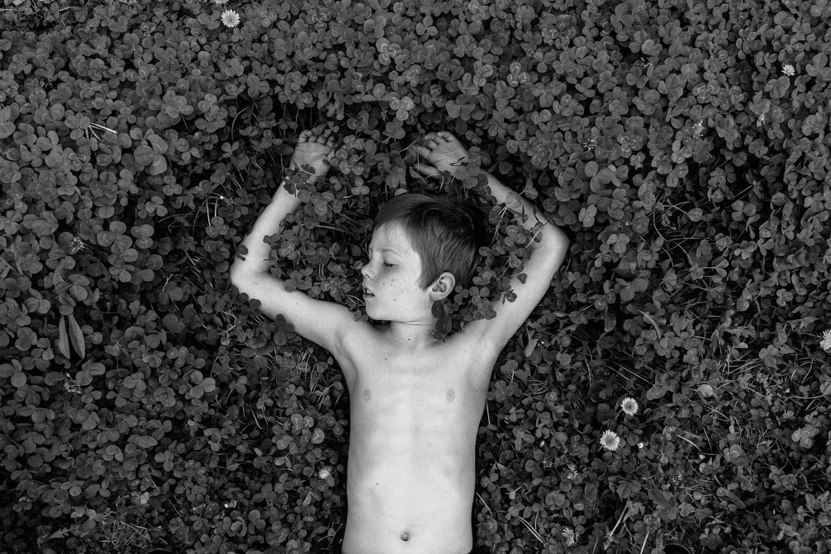 Artwork Title: undefined