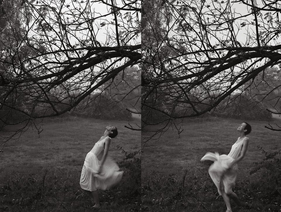 Artwork Title: undefined