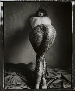 Artwork Title: Untitled