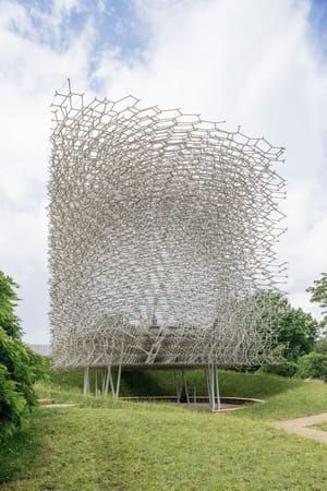 Artwork Title: The Hive