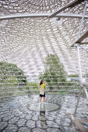 Artwork Title: The Hive