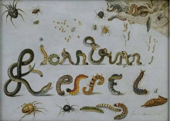 Artwork Title: The artist's name in catepillars