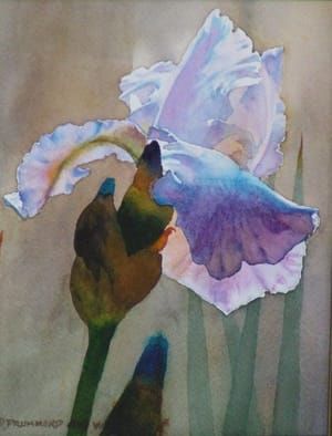 Artwork Title: Blue Iris #2
