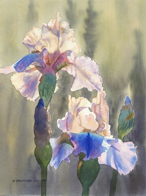 Artwork Title: Blue Iris #1