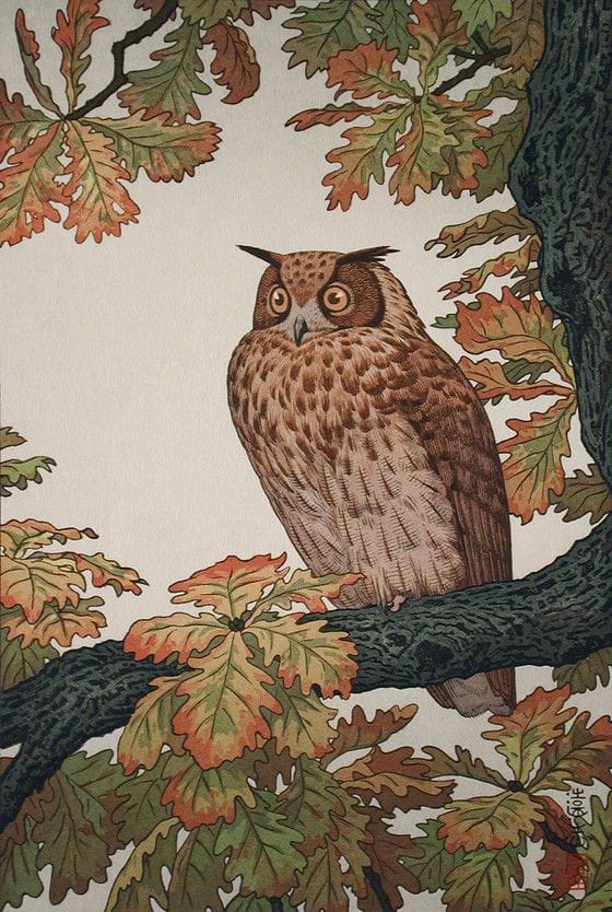 Artwork Title: Eagle Owl