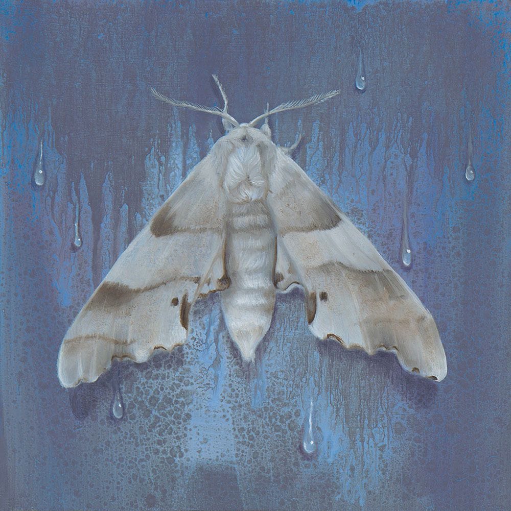 Artwork Title: Moth #3