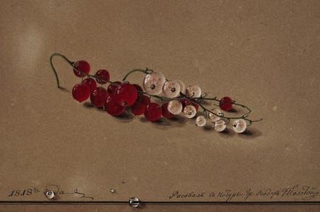 Artwork Title: Red and White Currants