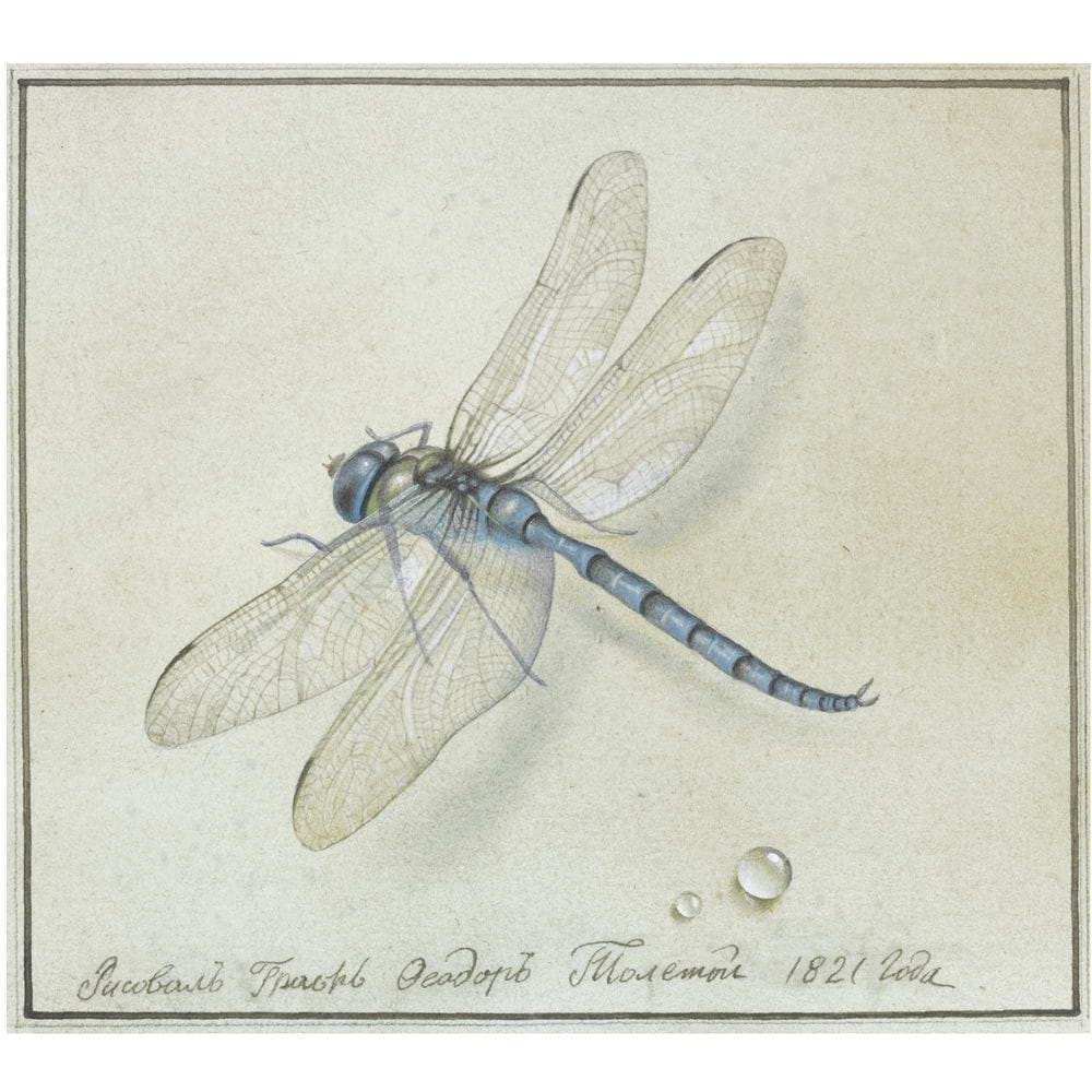 Artwork Title: Dragonfly