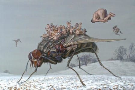 Artwork Title: The Fly